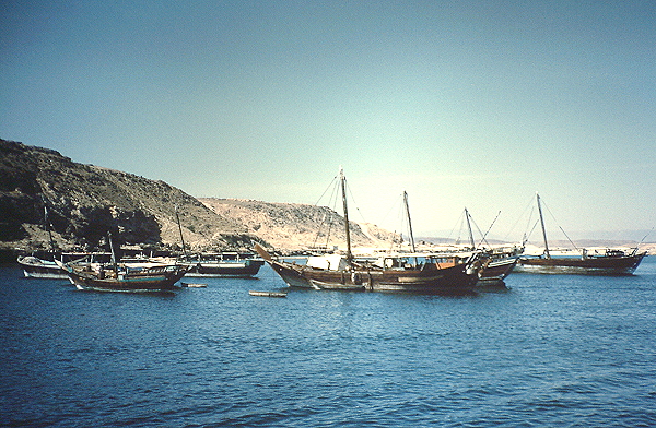 Dhows near Muttrah