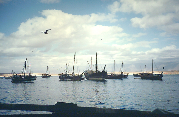 Dhows off Raysut