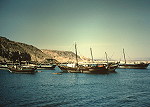 Dhows near Muscat