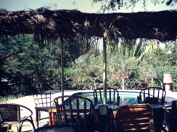 OG Mess pool & garden