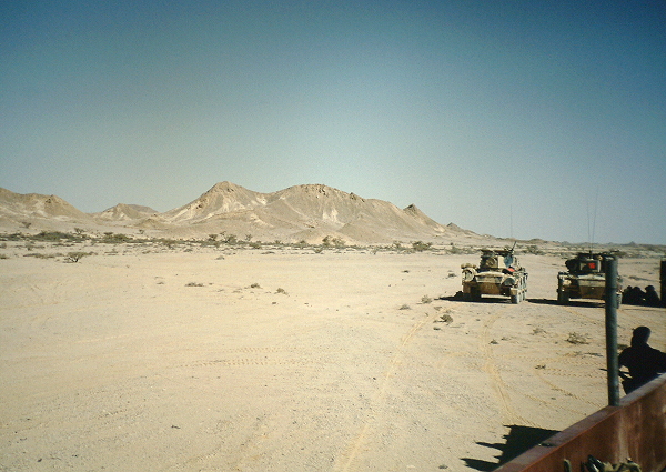 A 'stop' on Op Hammer