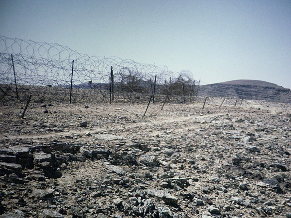 Wire on Hornbeam Line