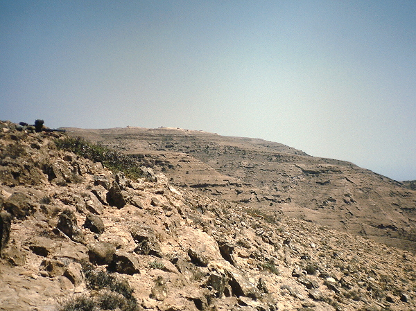 Looking back to 'Reef'