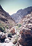 Wadi at Bausher