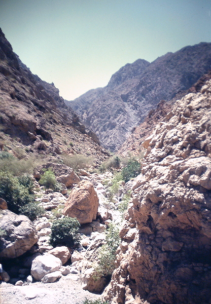 Wadi near Bausher