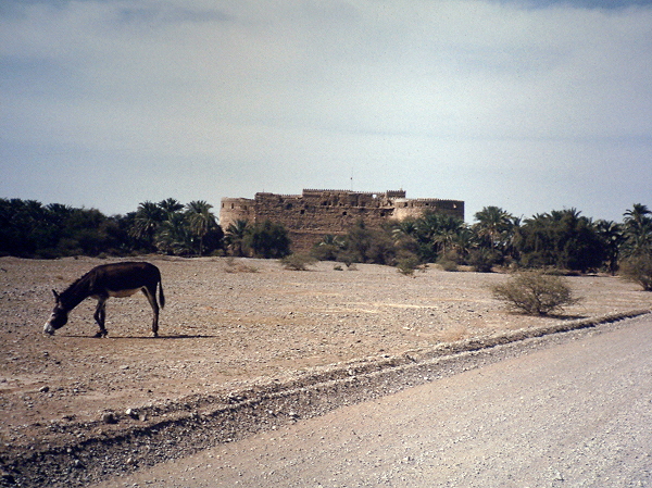 Hizaam Fort from north
