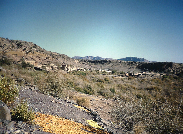 Sayq Village