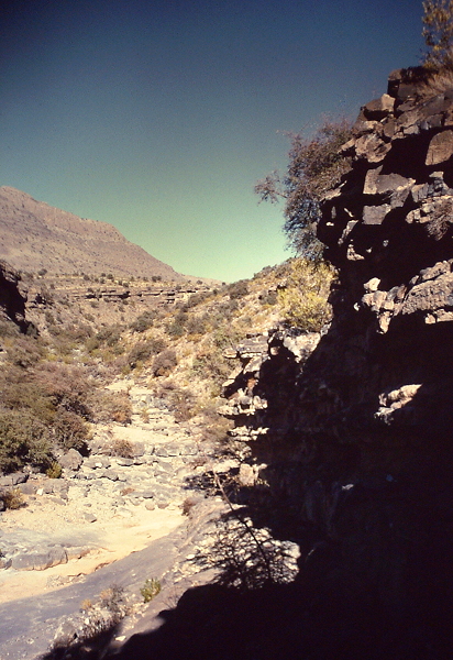 Wadi As Sayh