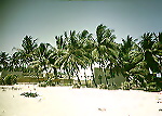Salalah beach villa