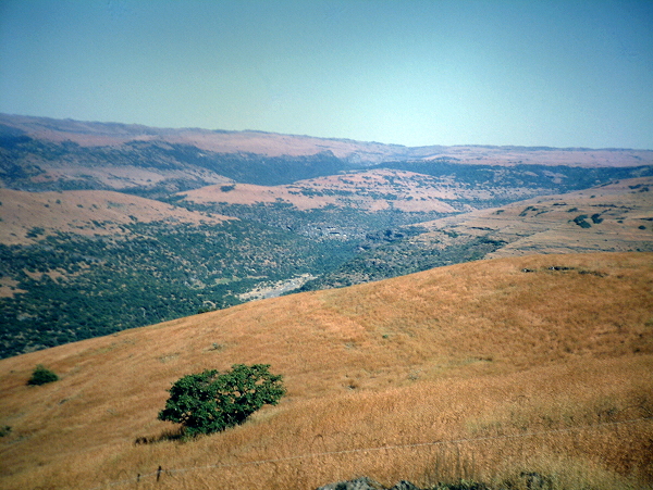 Wadi Jarsis