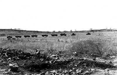 Army cattle convoy arriving