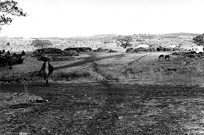 Tawi Attair dwellings